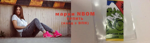 сатива Магас