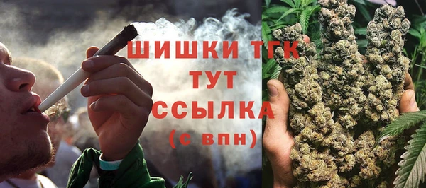 сатива Магас