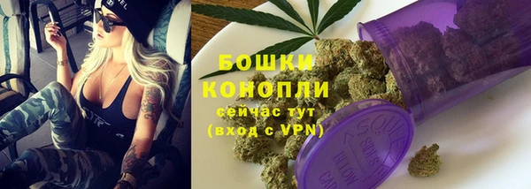 сатива Магас