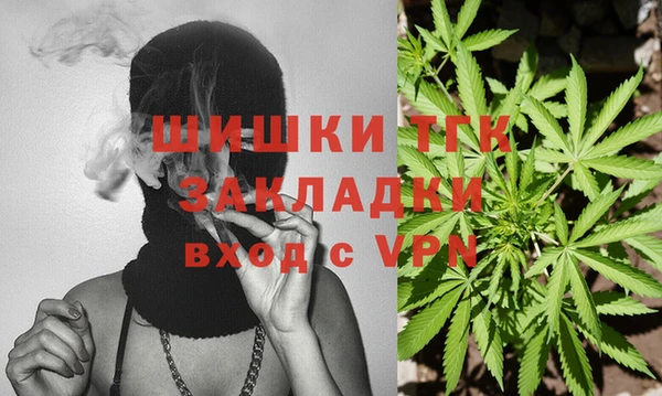 сатива Магас