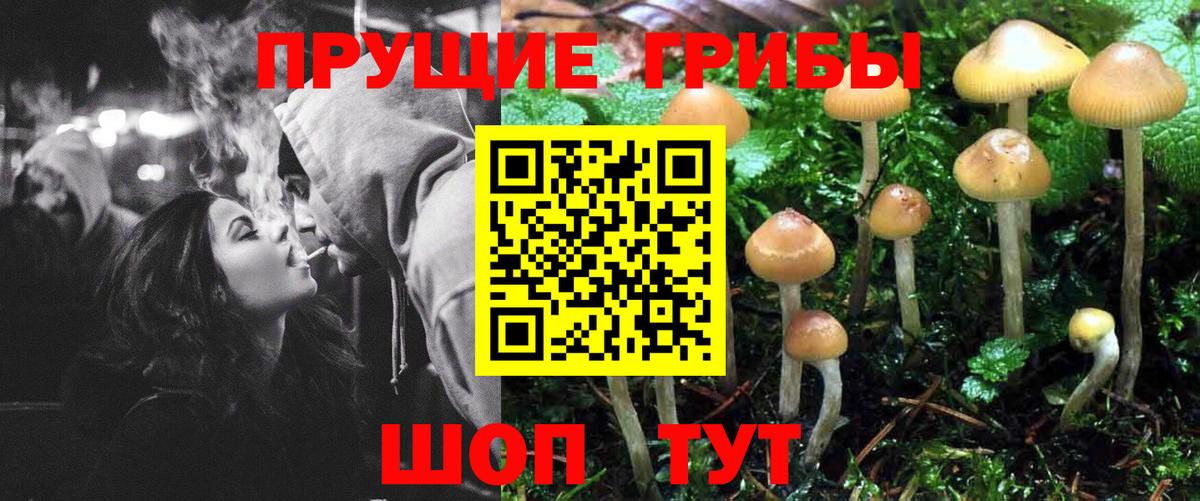 Галлюциногенные грибы GOLDEN TEACHER Хасавюрт